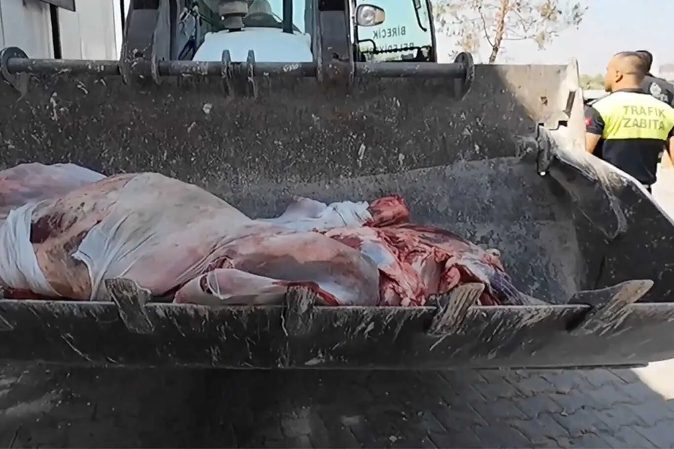 3Bd27956 53E3 43E1 9B7A 7B3Cb693