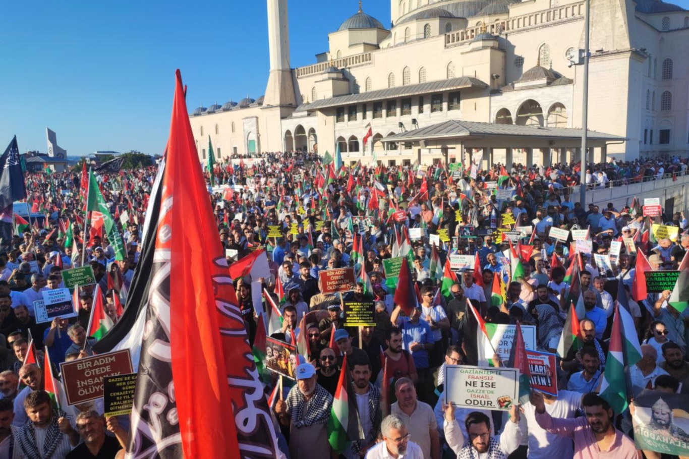 546Dec5D C328 4A30 9Dcf Cdd8D456Fc61