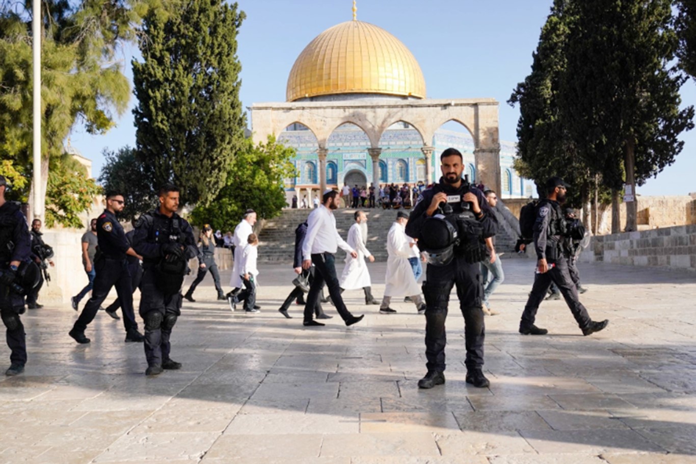 789A1C63 43C2 450A 9497 5Bae47701382