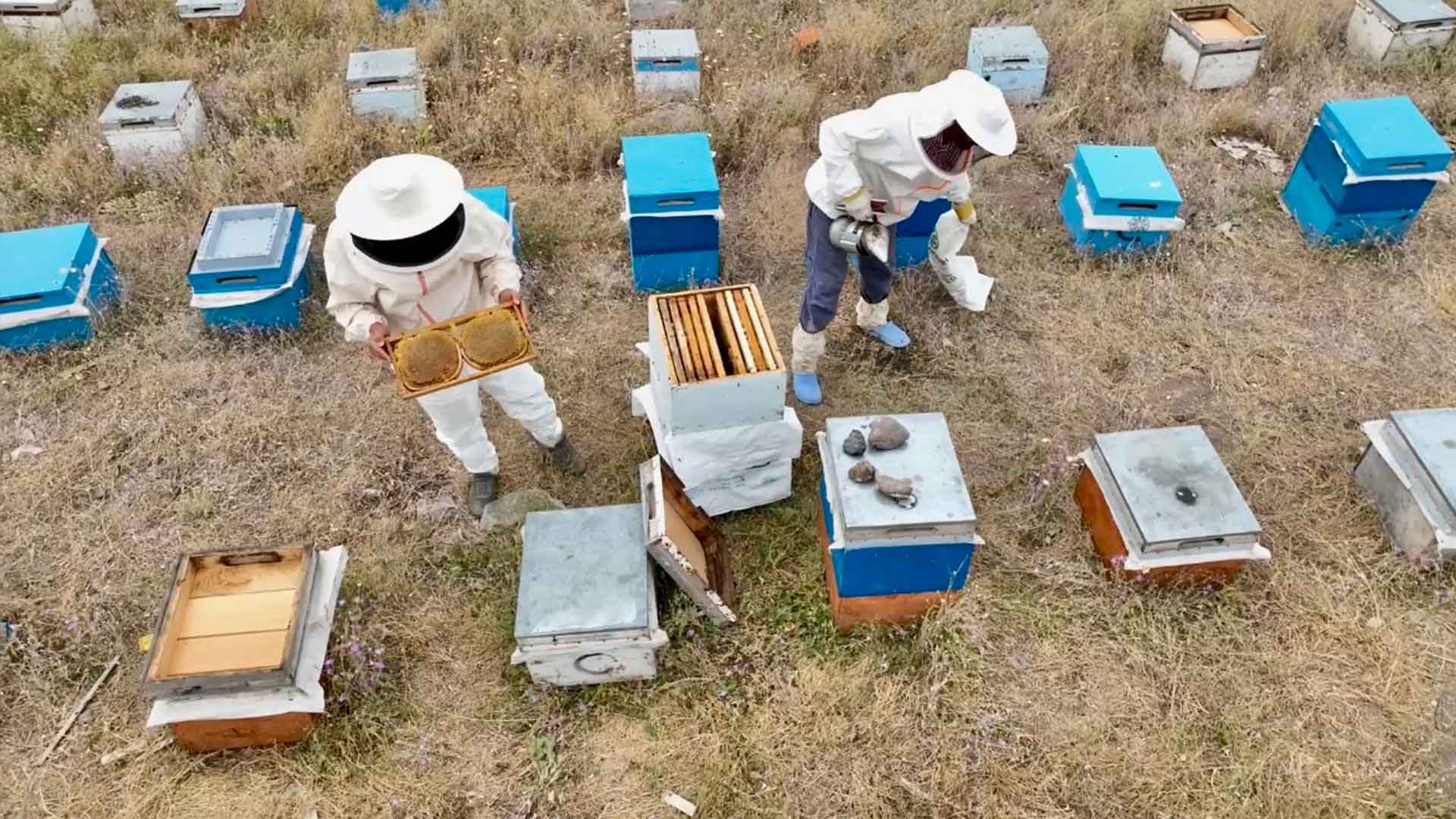 Ağrı’da Kadınlar Arıcılıkla Ekonomiye Katkı Sunuyor 2