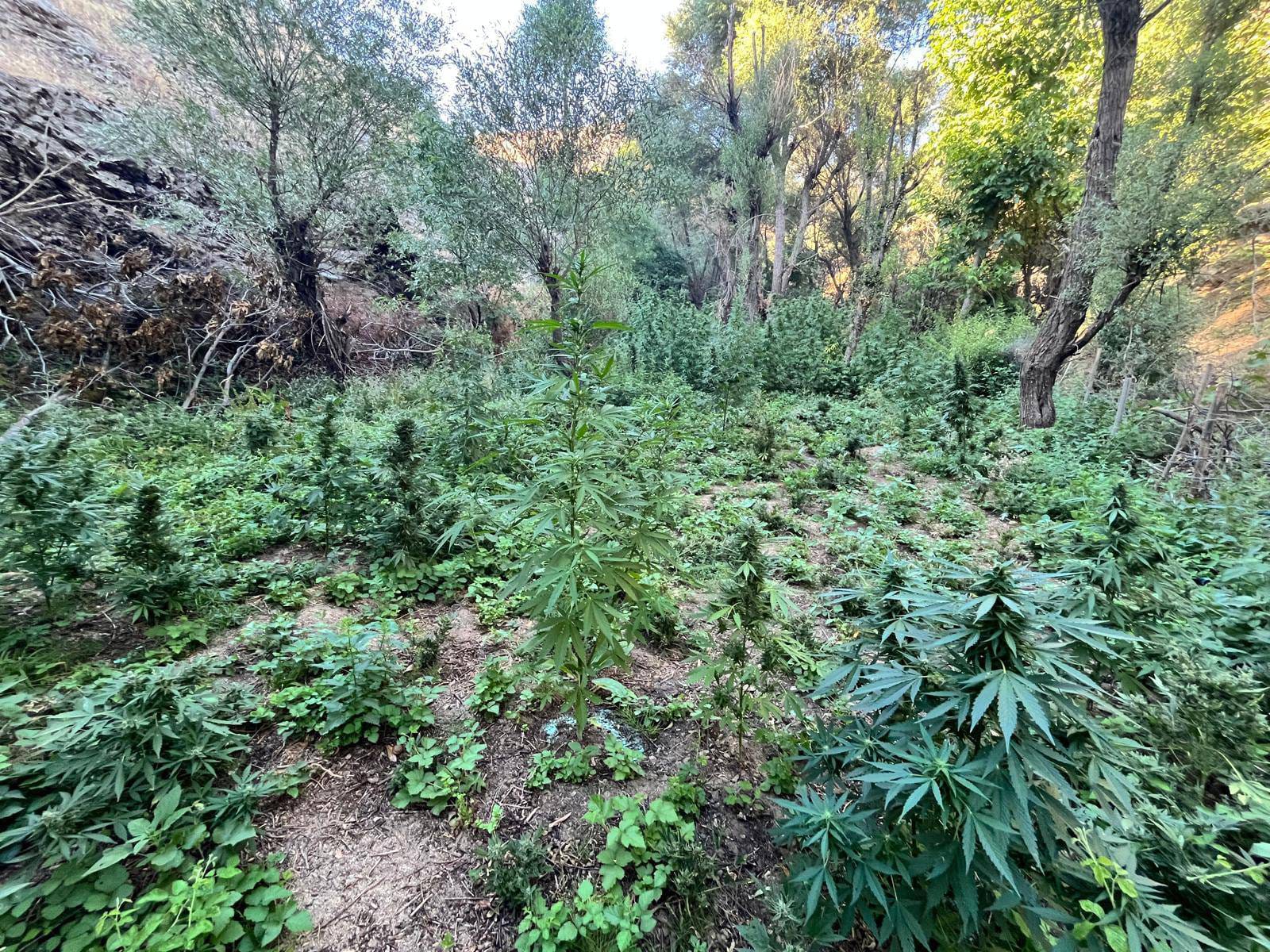 B I N G O L’ D E 8 N O K T A D A U Y U S T U R U C U O P E R A S Y O N 861358 255665