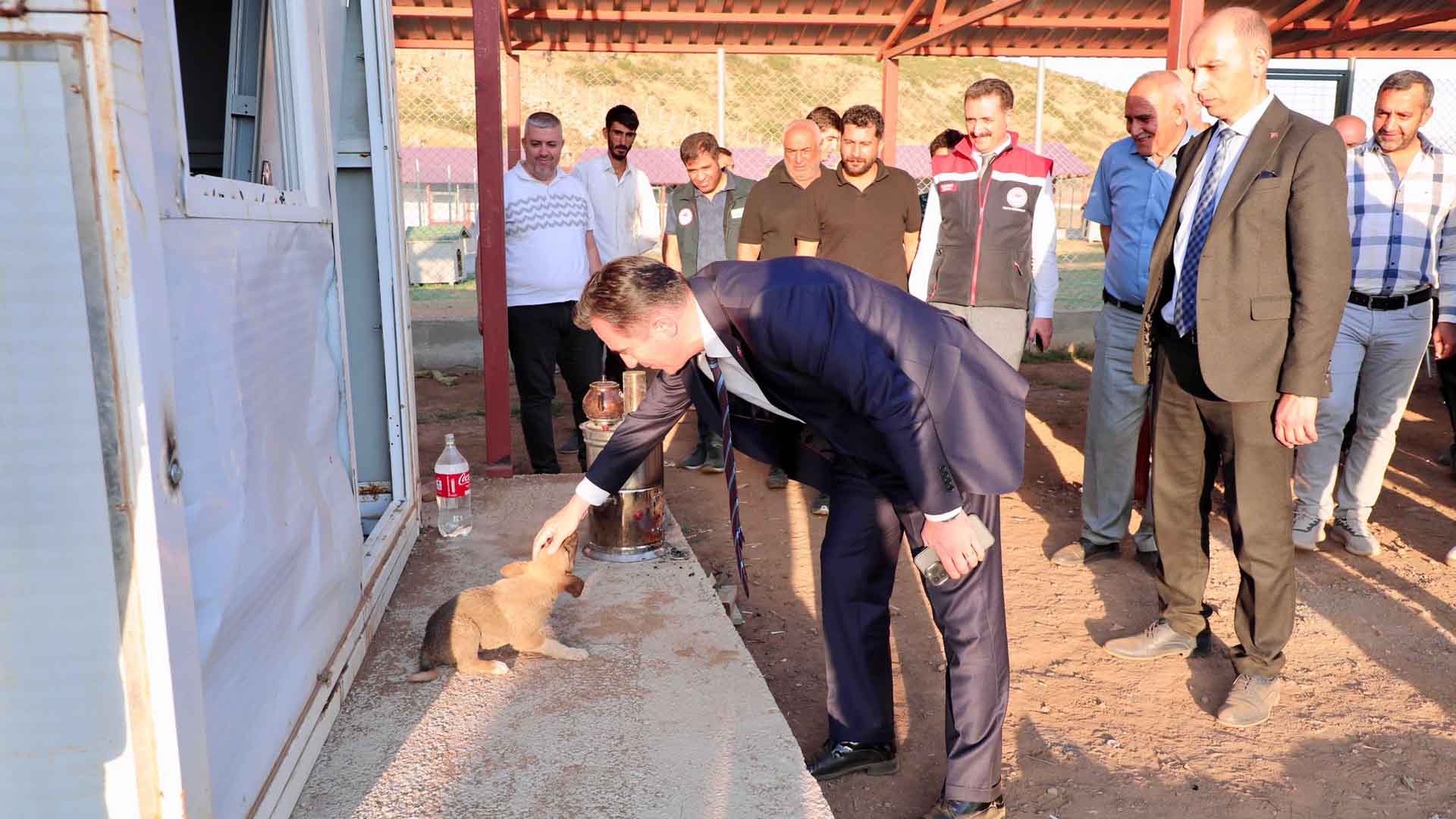 Bitlis Valisi Karakaya Sokak Hayvanları Doğal Yaşam Alanını İnceledi 2