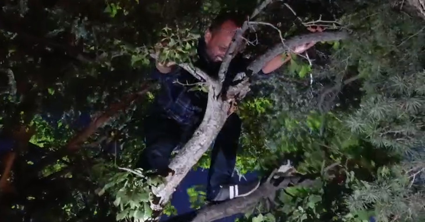 Ekran Görüntüsü 2025 08 28 215611