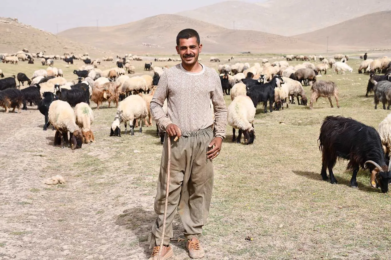 Gocerler Yayladan Inmeye Basladi 2