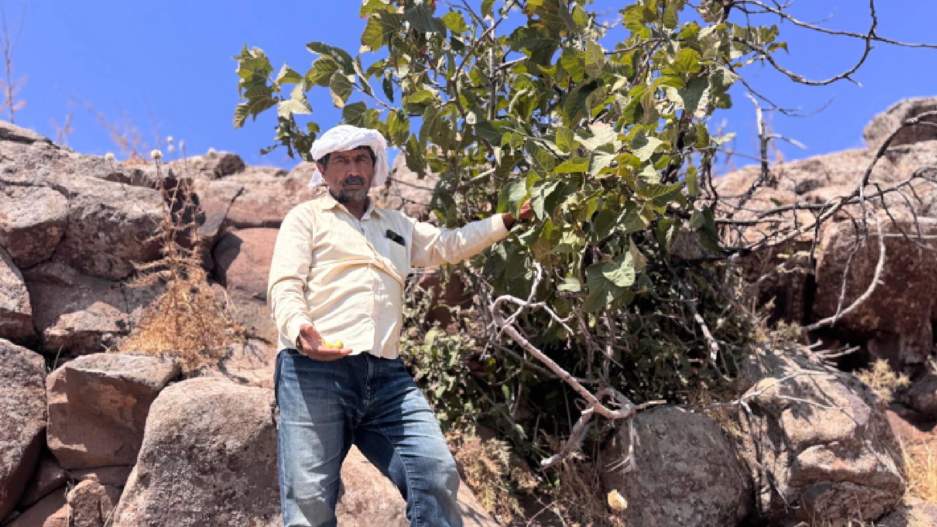 Haber Kapak Şablon (21)-29