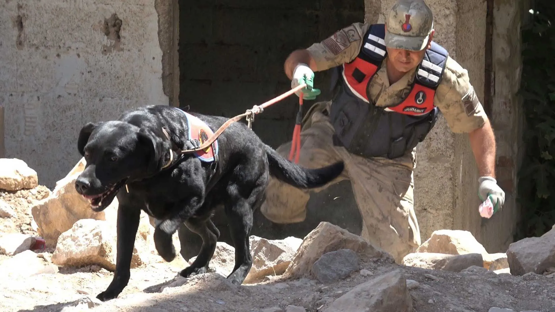 Kayip Olan 2 Yasindaki Kiz Cocugu Her Yerde Araniyor 3