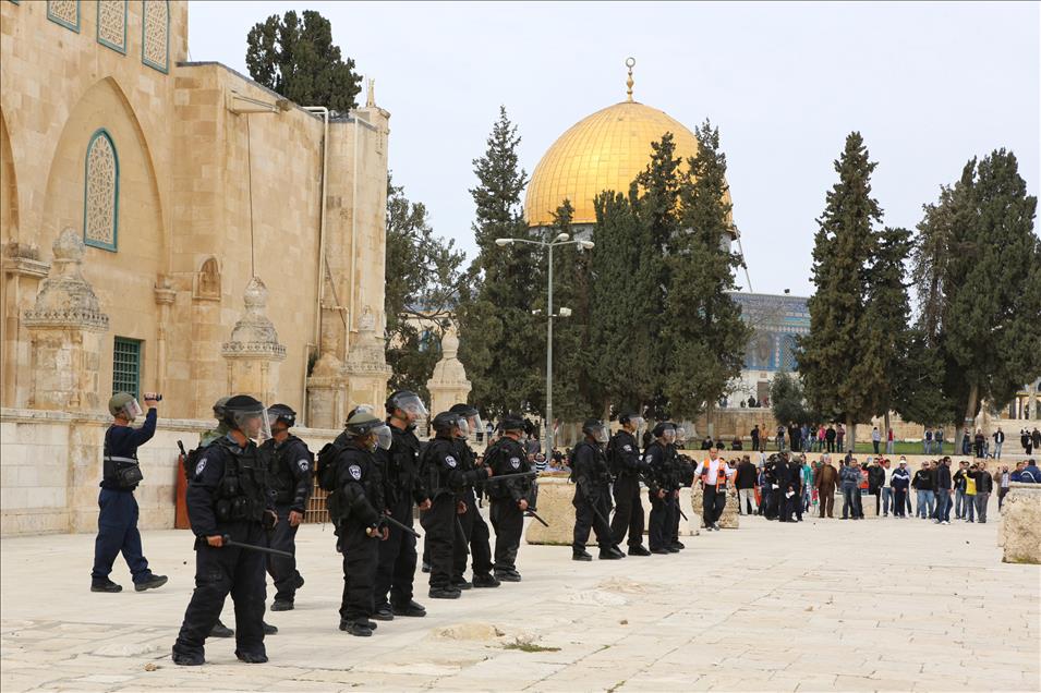 Thumbs B2 1E1B9769Dc6E463Eb0B4Fcc1Bd5C7274