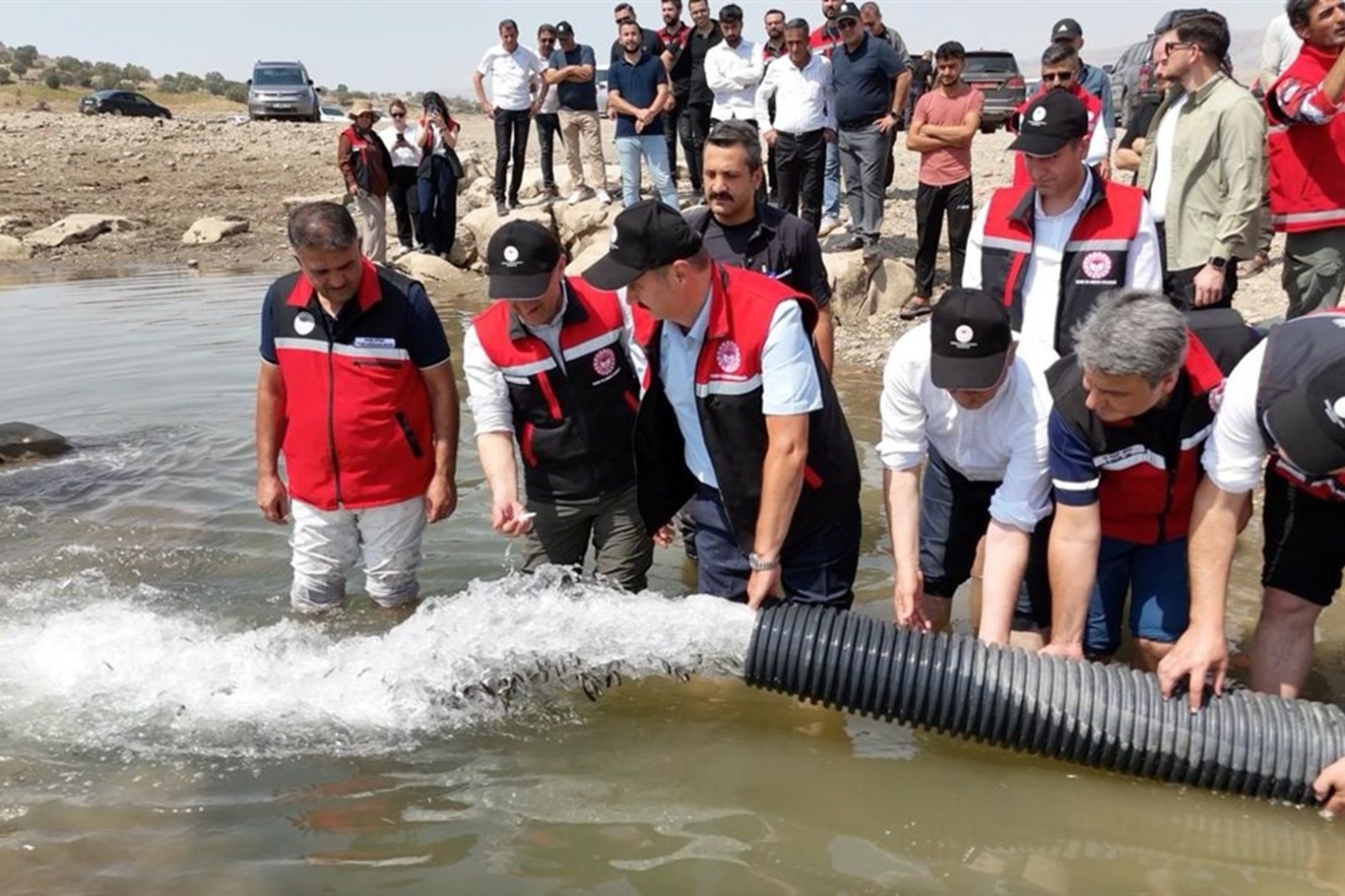 B0C0050B F44F 4B44 875D 4F06B5Eedfcc