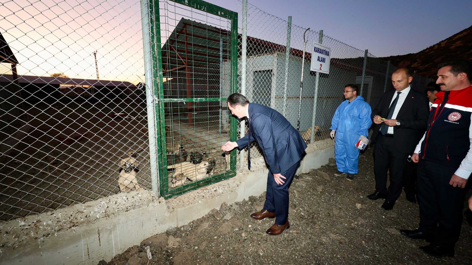 Bitlis Valisi Karakaya’dan Sokak Hayvanları Bakımevi’ne Ziyaret 5