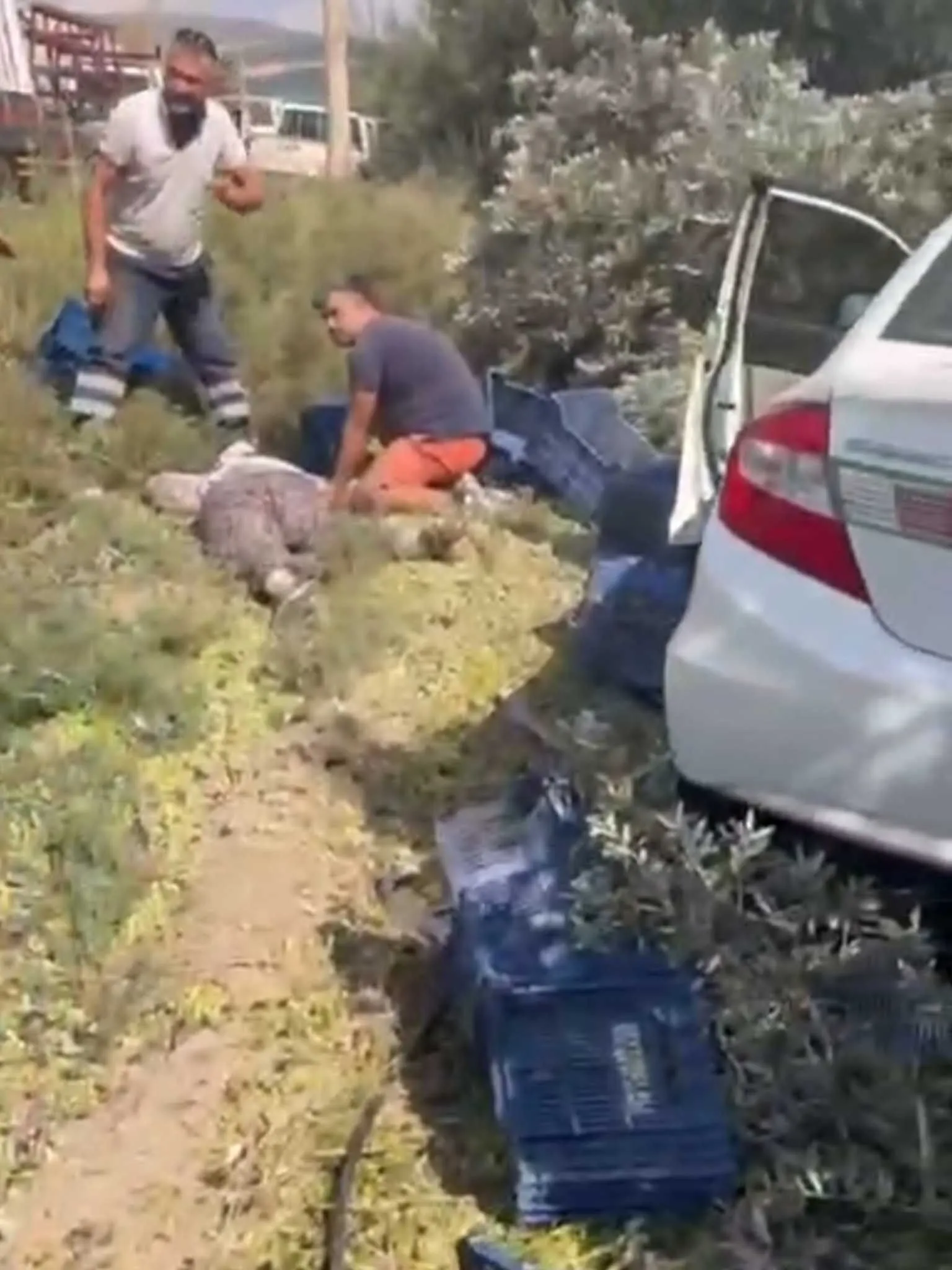 Otomobil Bahcede Calisan Iscilere Carpti 1 Olu 3 Yarali 4