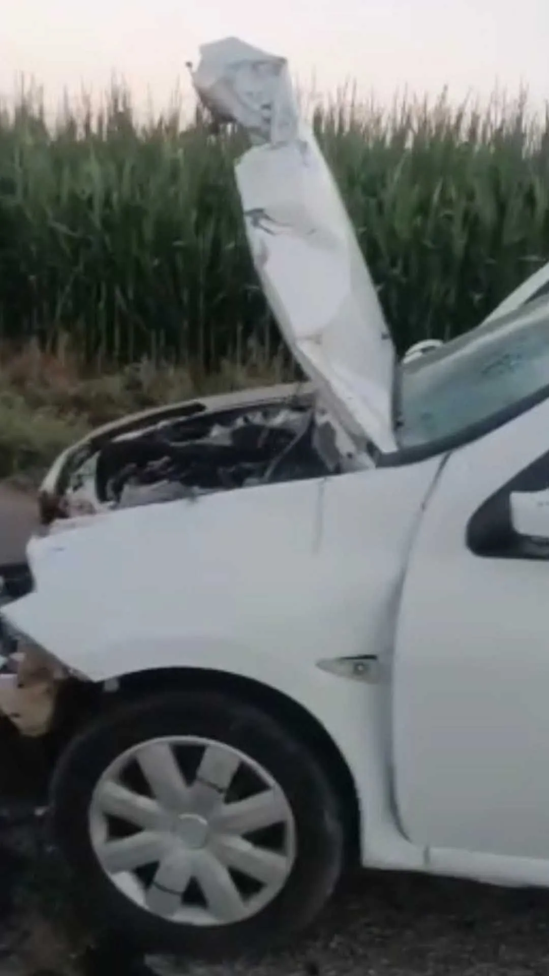 Otomobil Ile Motosikletin Carpistigi Kazada 14 Yasindaki Cocuk Surucu Oldu 1