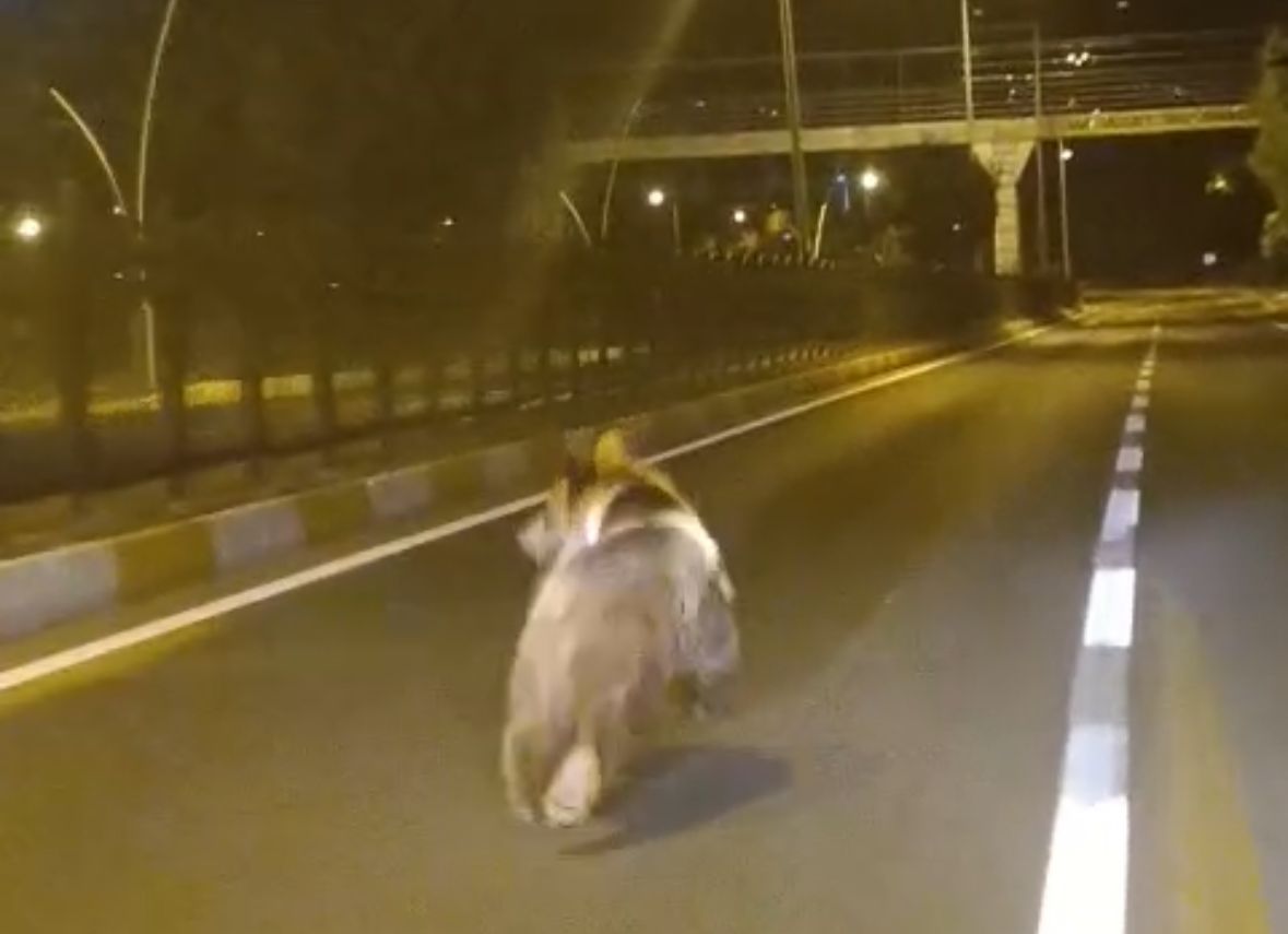 T U N C E L I’ D E K A R A Y O L U N A I N E N B O Z A Y I K A M E R 925668 274984