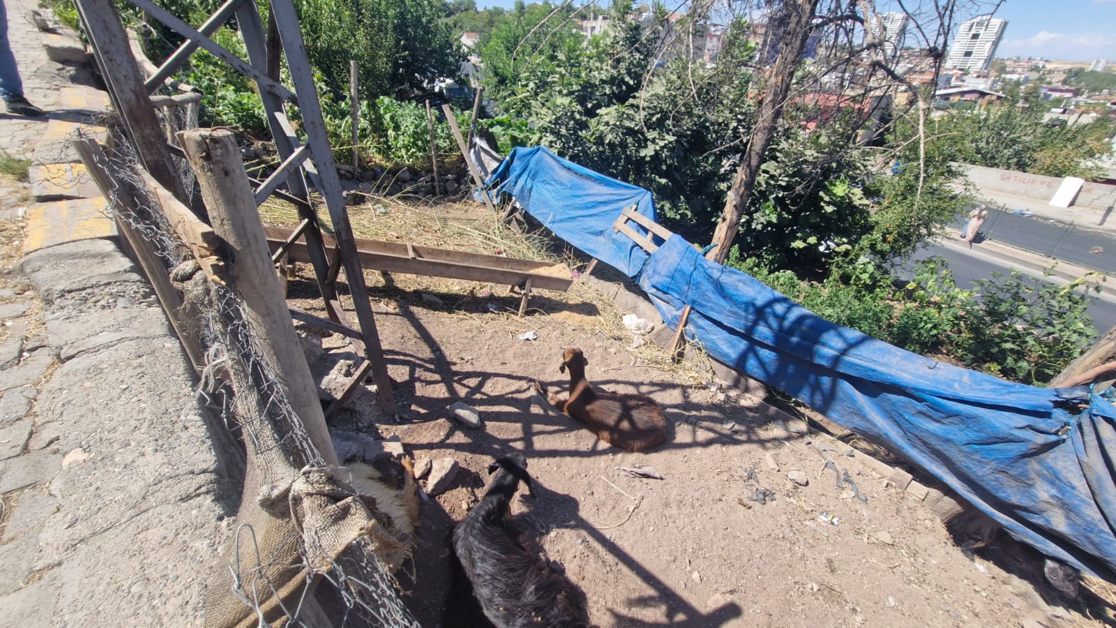 Y E R D E H A R E K E T S I Z Y A T A N K E C I Y E D O K U N U N C A 908254 269890