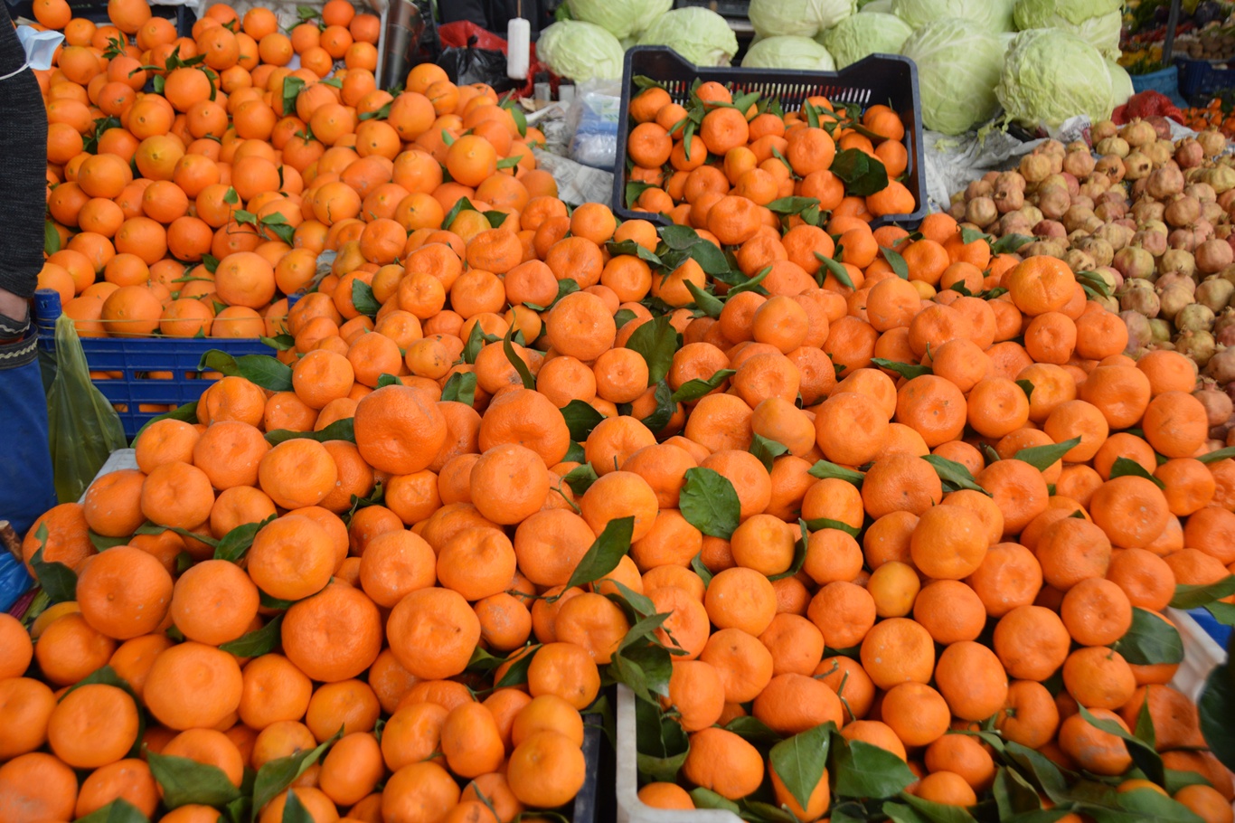 0Bdc0E4D 0Ea6 41Ed 928A 908352Ec3C61