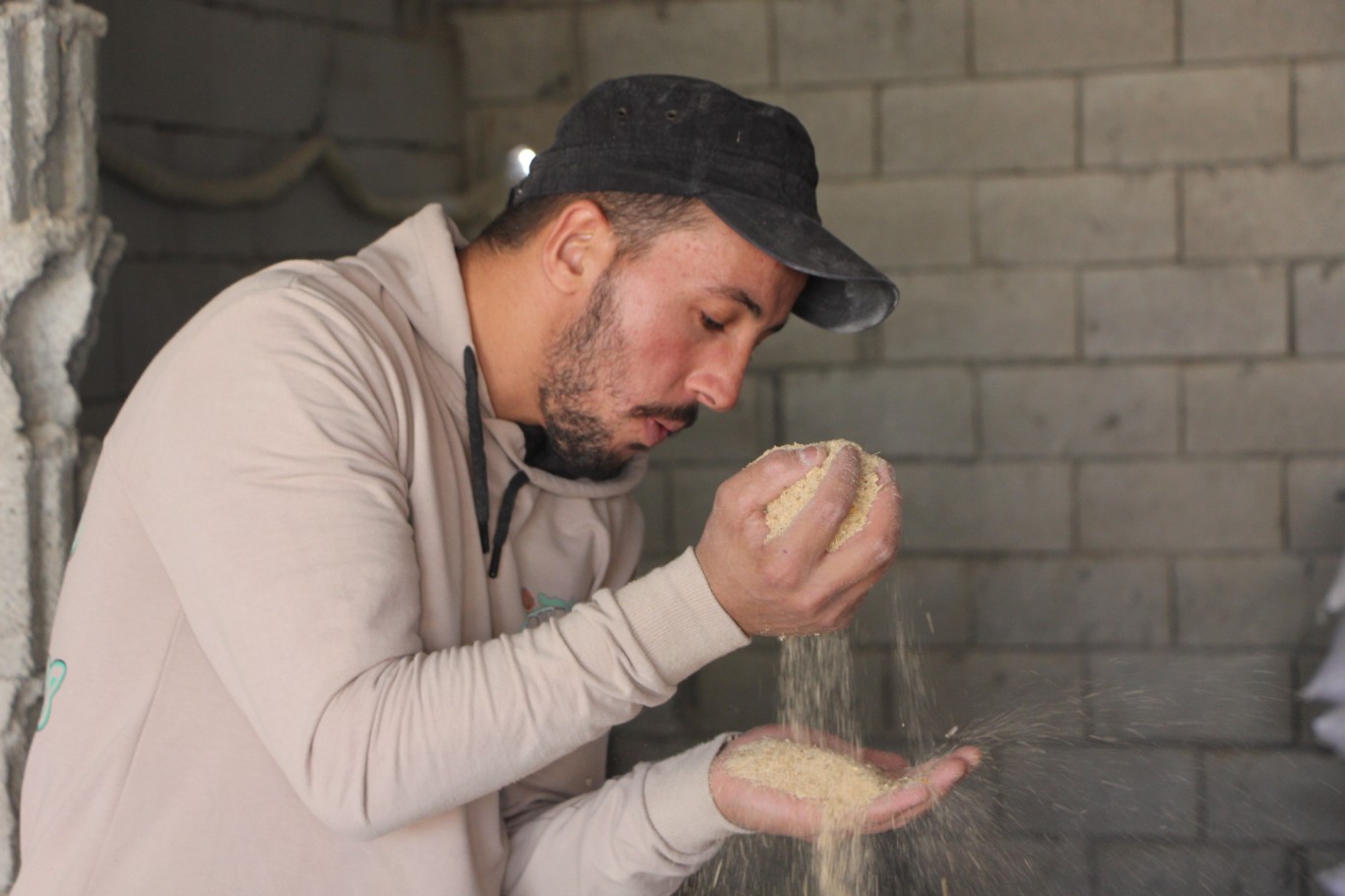 3478B73C 2D7A 4E32 Bd2D 54779270Fbeb