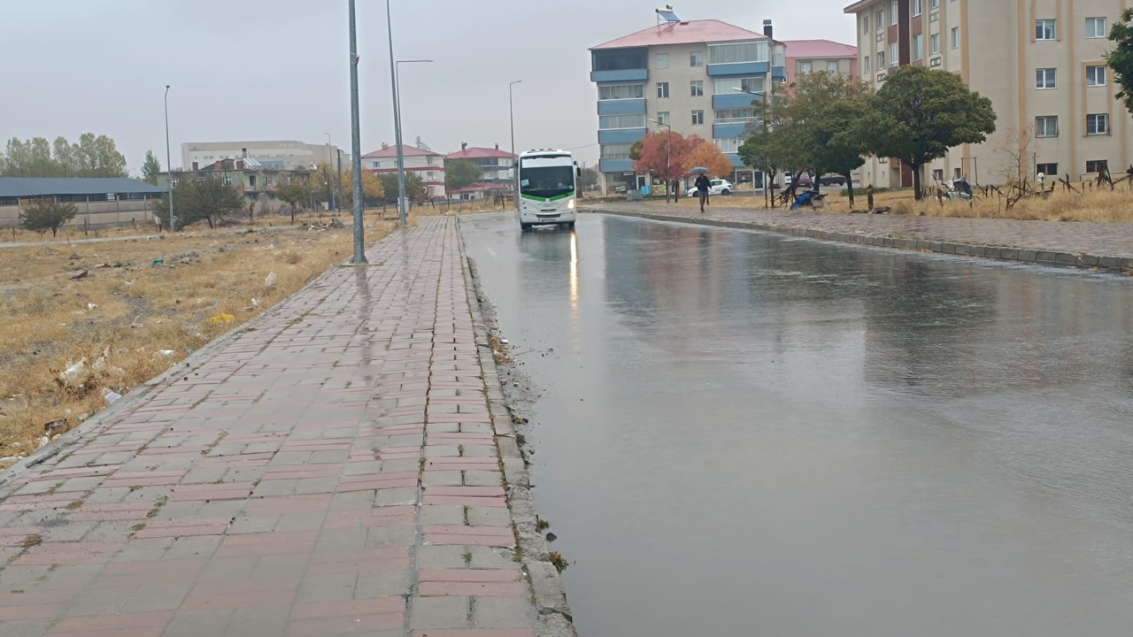 3D1F14C5 6464 4E85 B5Ca 694837Fd67Bd