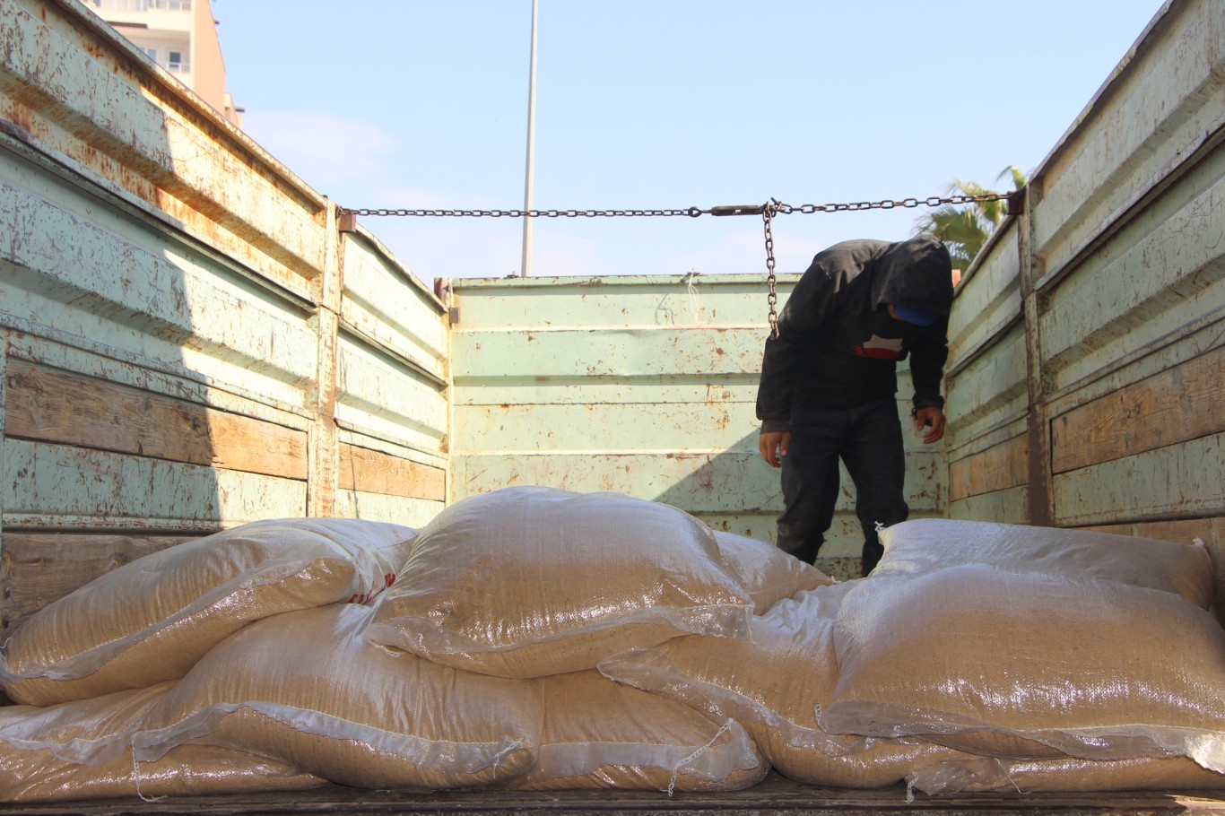 65C10750 6F03 4Ccc 845A 4Cf335E7Fd90