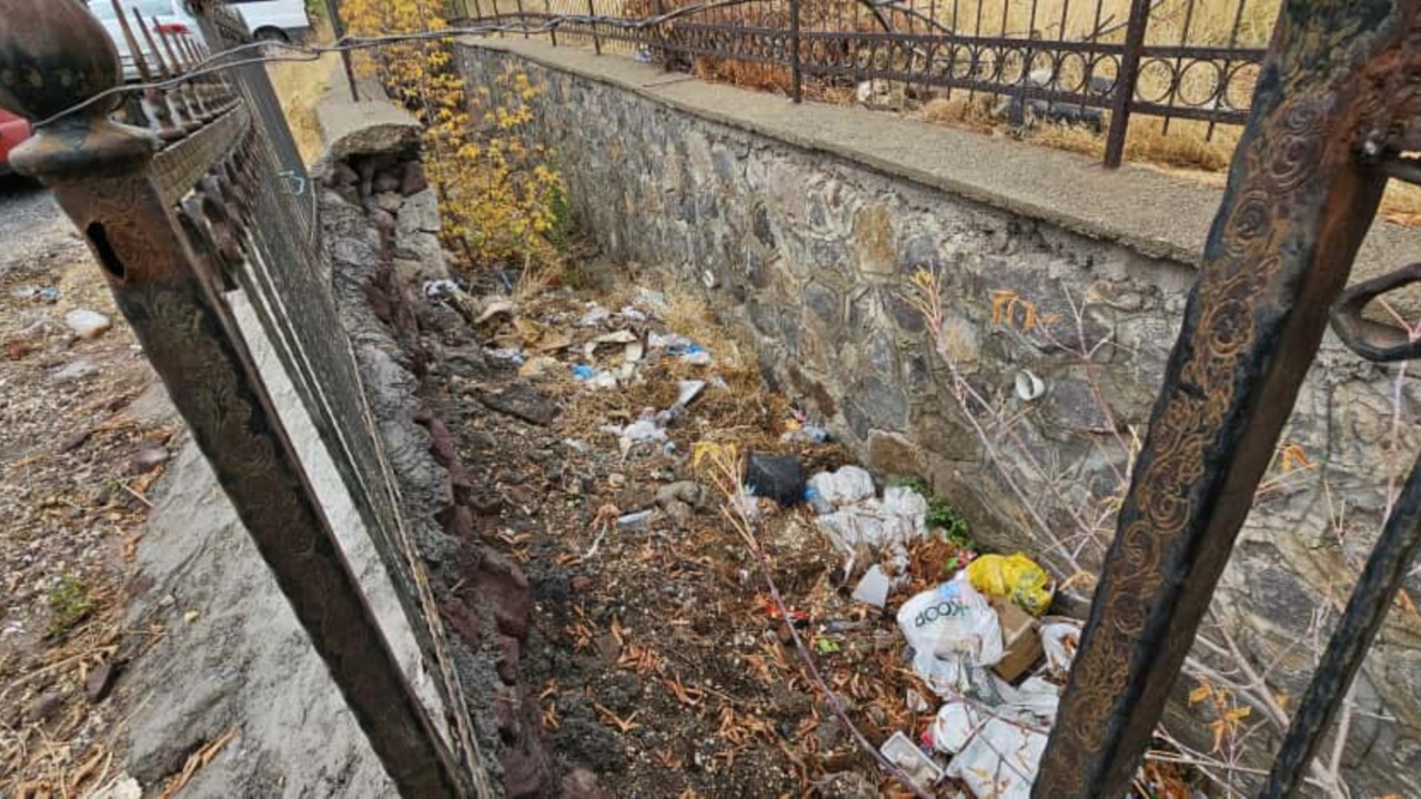 67D1D181 79E4 4752 893F 22Ba9A6Ec24A