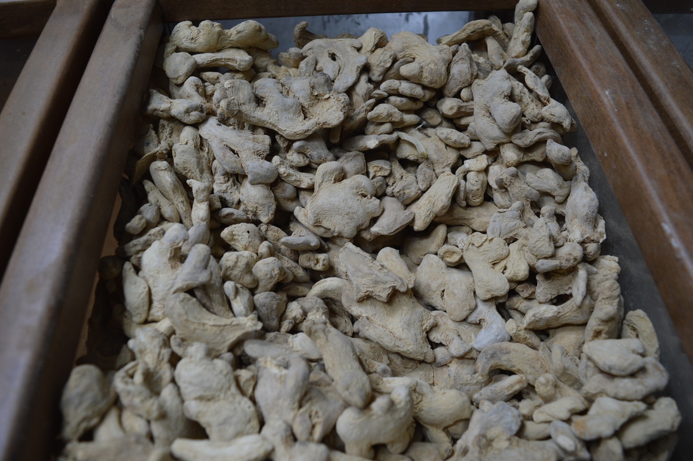 8396Dc0B B5B2 4039 9Bcb 8D20320F12B2