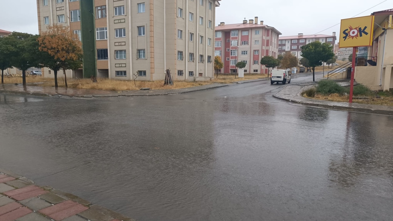 84D7564A F82D 4D68 9De6 Be74A745F223