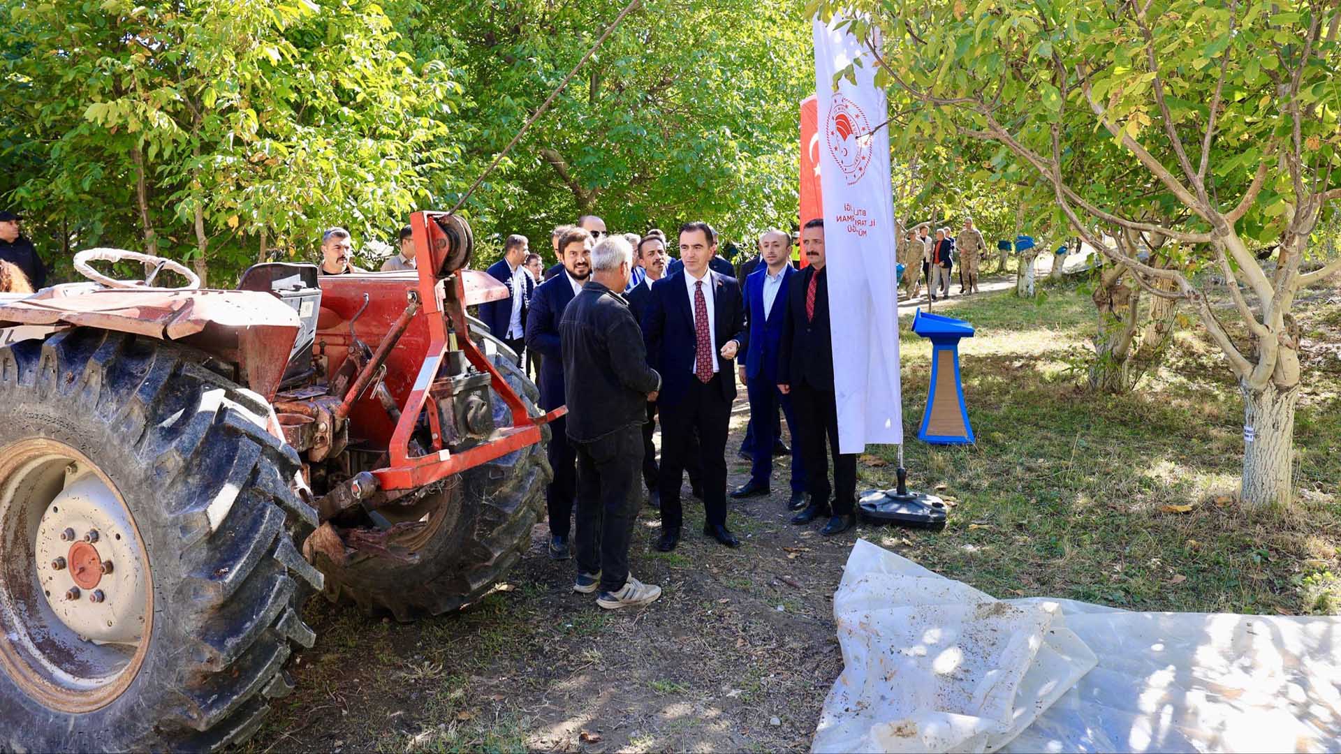 Adilcevaz'da Ceviz Hasadı Başladı 2