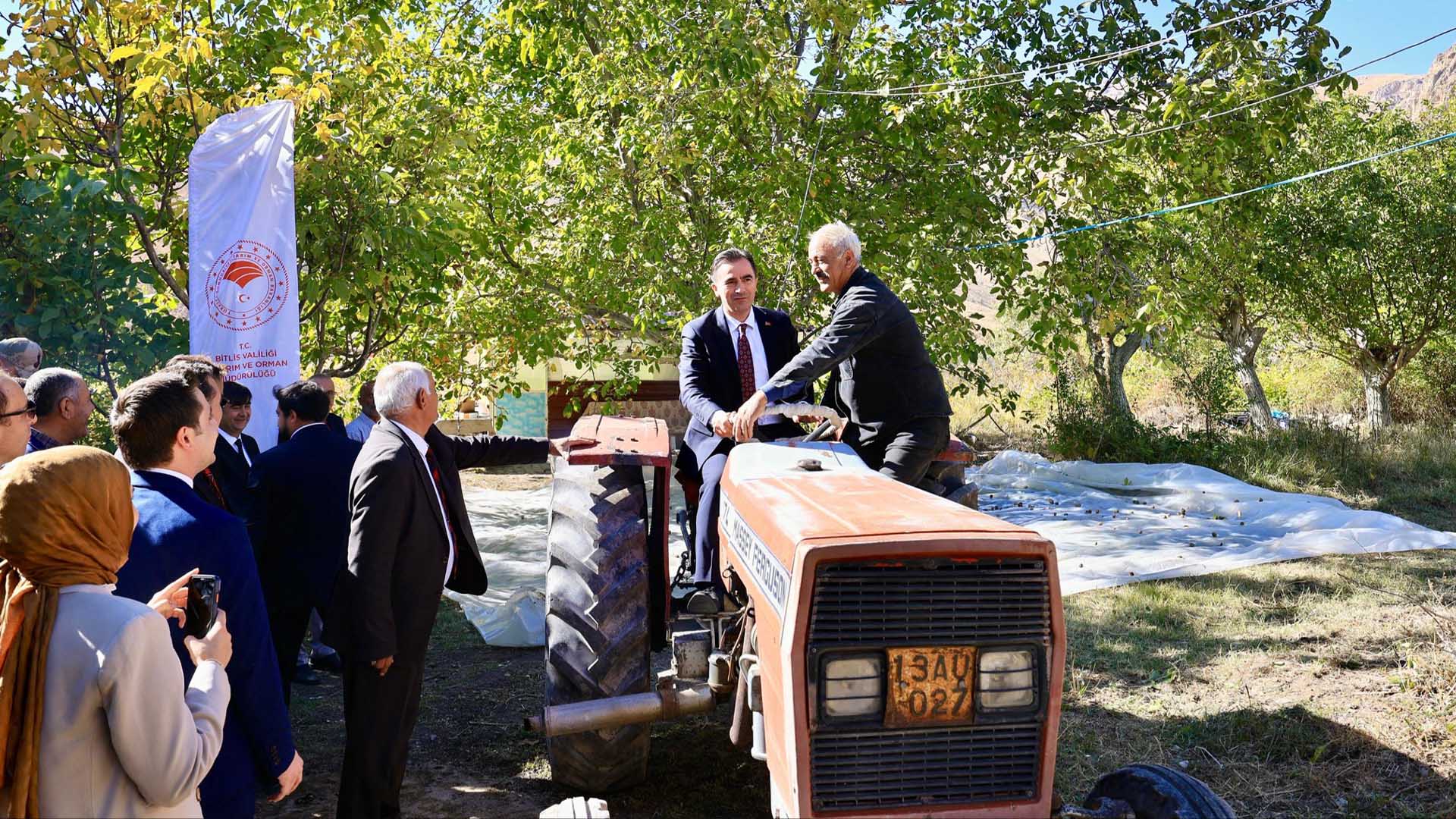 Adilcevaz'da Ceviz Hasadı Başladı 4