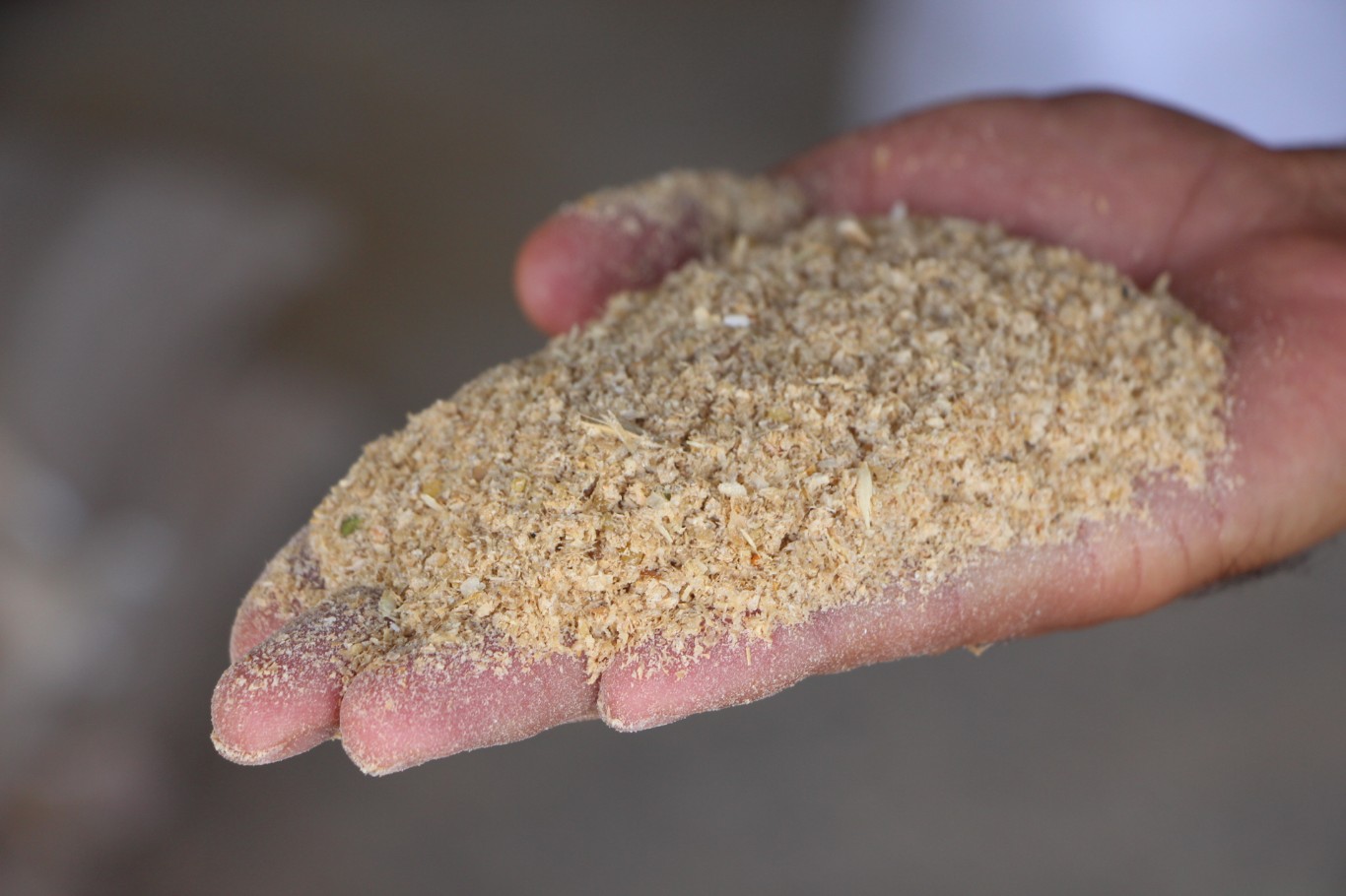 B71045C1 309C 443D B5A7 247501Ffc040