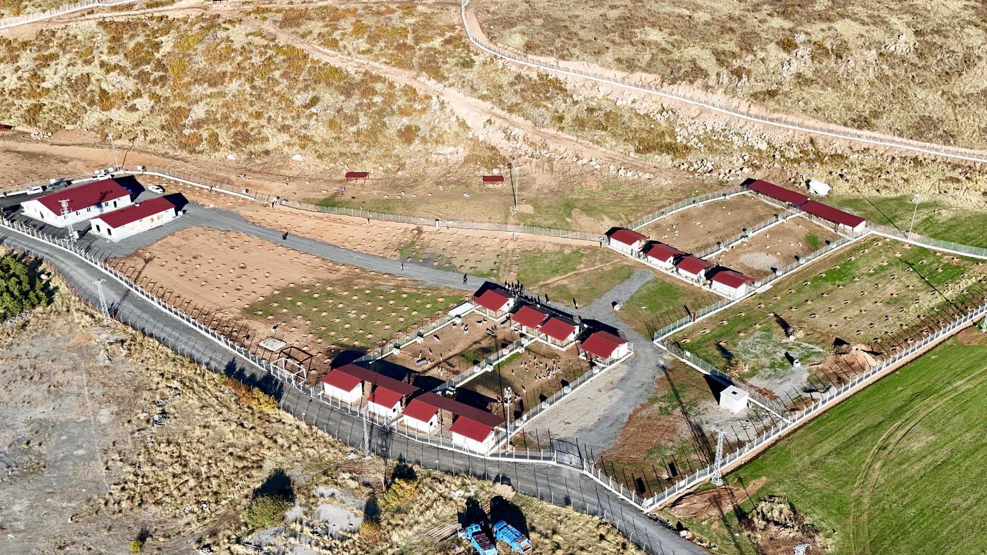 Bitlis Valisi Karakaya Sokak Hayvanları Bakımevi’nde İncelemelerde Bulundu 1