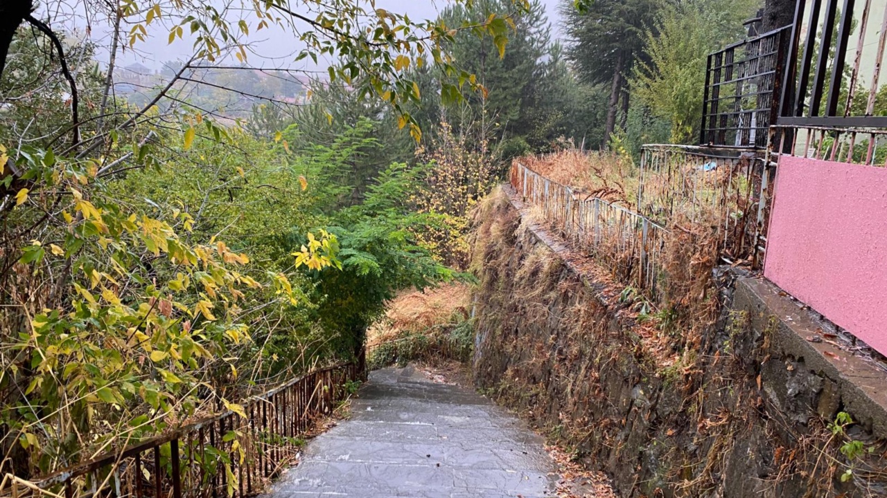 C0357696 03B2 45Fa Ae1C 9Cd6B6Ffe56B