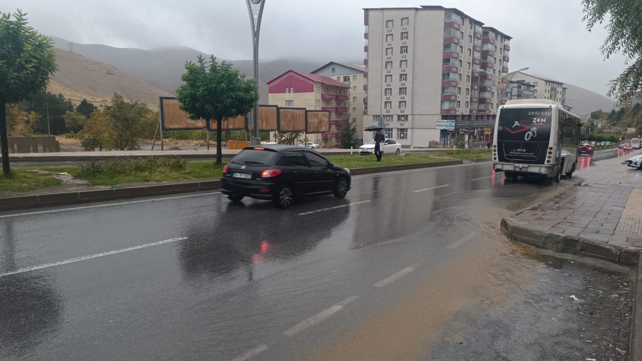 E3810Fe1 82C3 4191 B388 D6D2E04712Cb