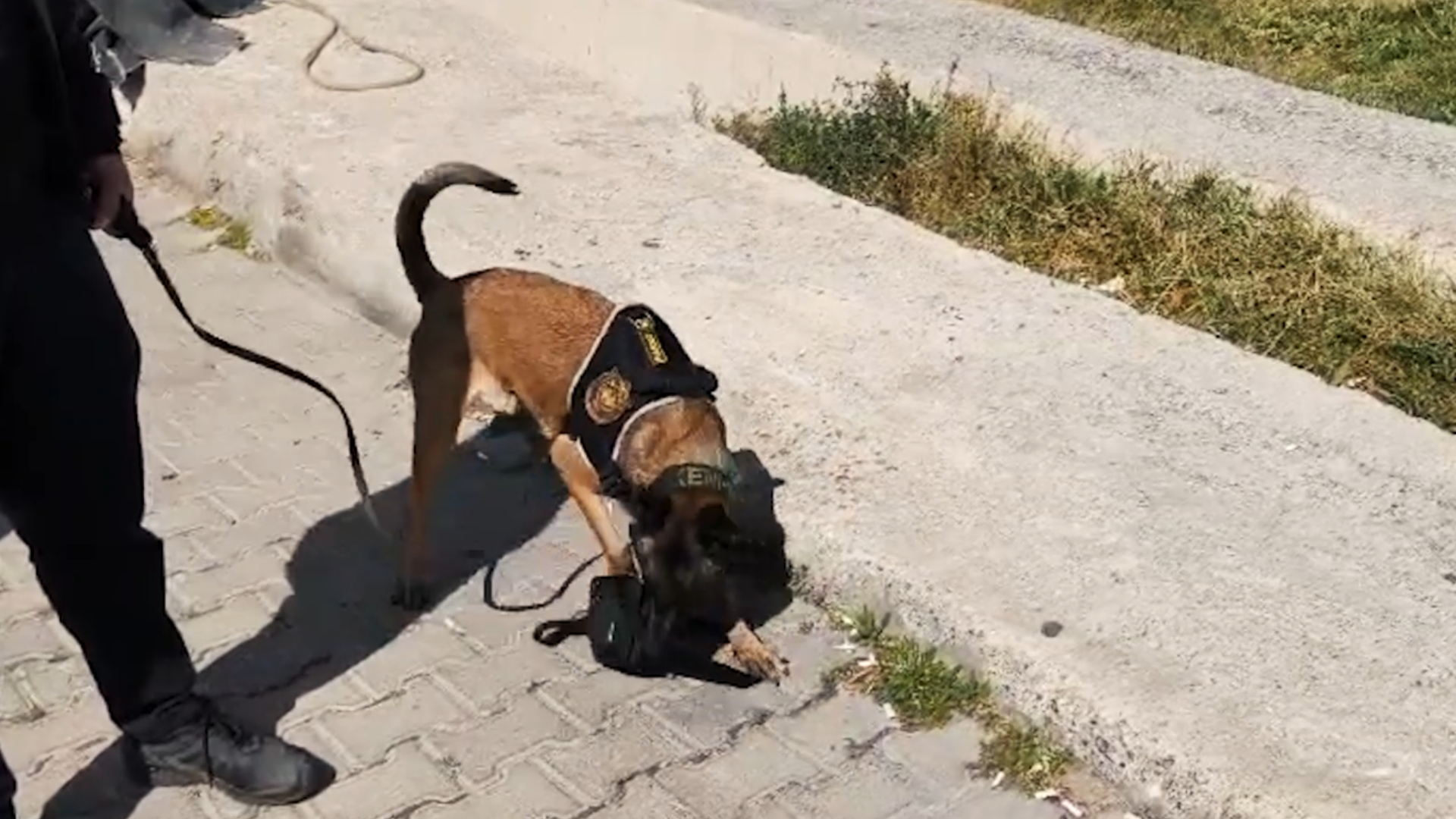 Haber Kapak Şablon (3)-56