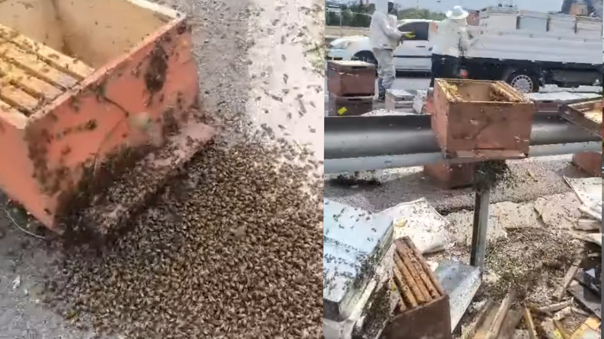 Haber Kapak Şablon (34)-22