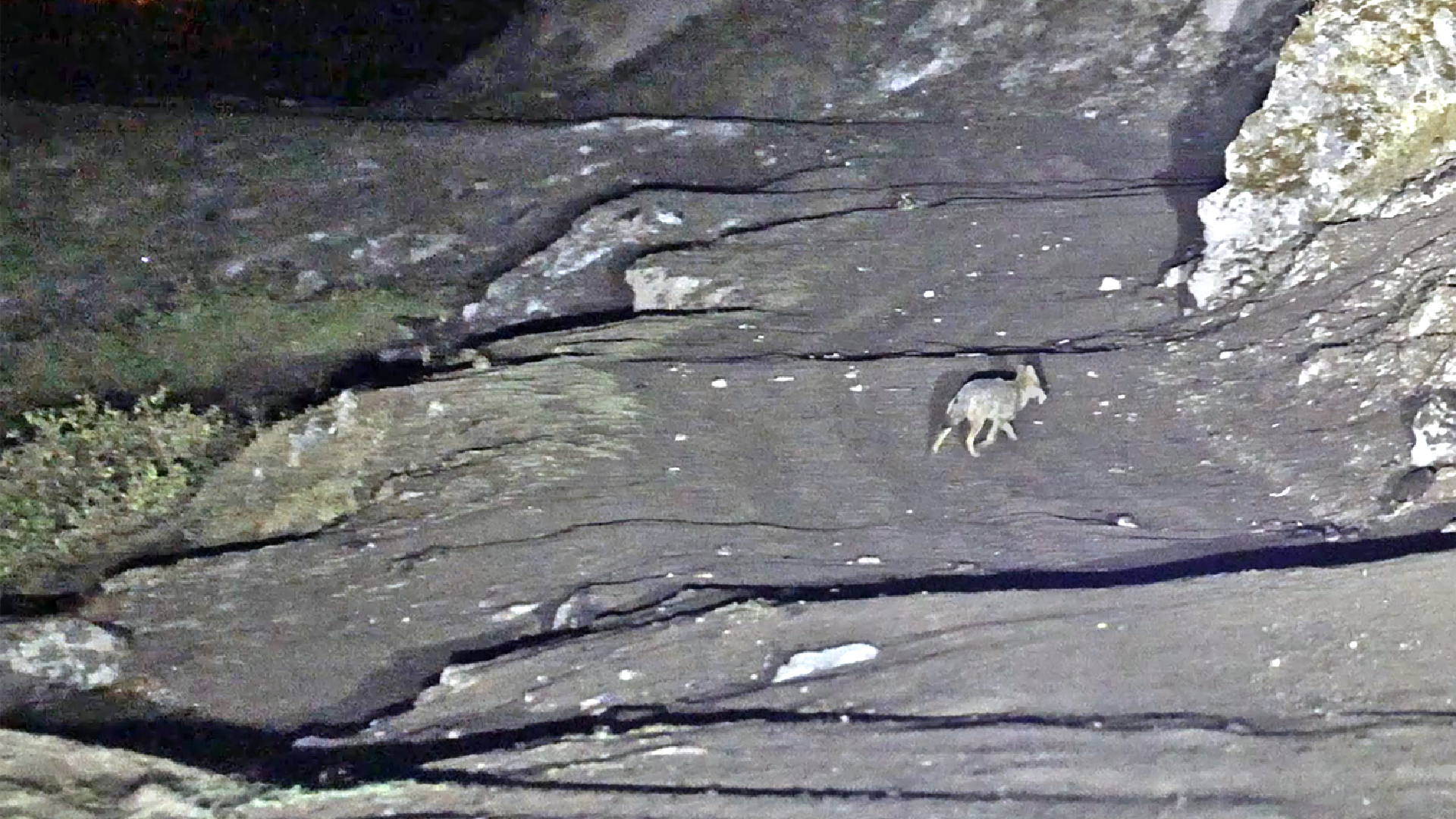 Haber Kapak Şablon (7)-50