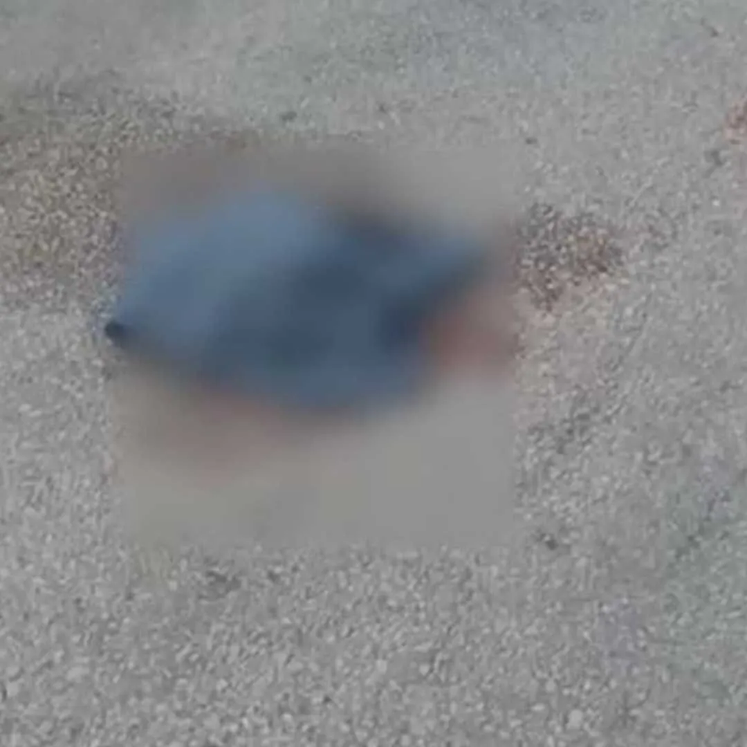 Traktorun Capasina Carpan Motosikletin Surucusu Oldu 1