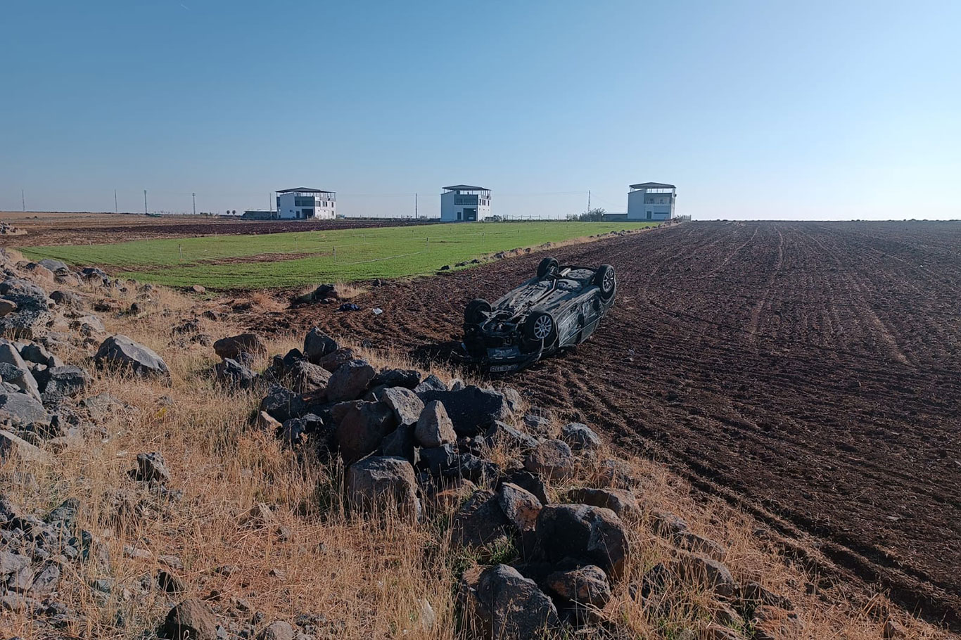 1Daf86C3 Ed31 4Bce 80Dd 655630E0897D