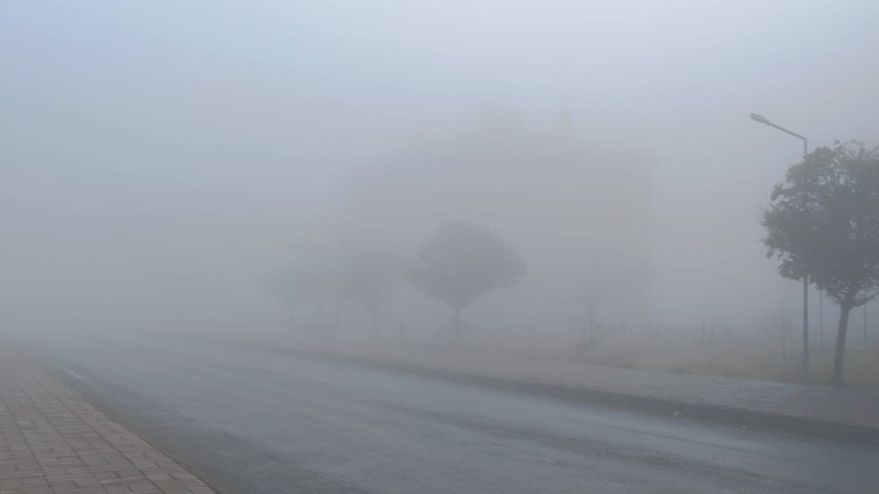 527C4Cfd 072D 46E1 B173 7726B46F0Aac