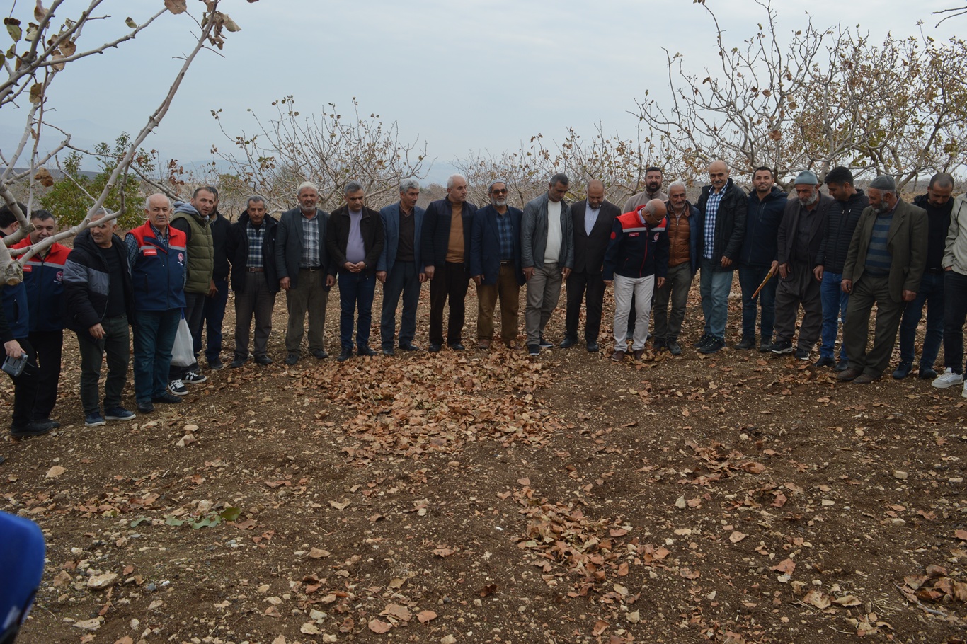 5699E546 5Cc9 4049 Be71 8A5B6Bd5E0Ae