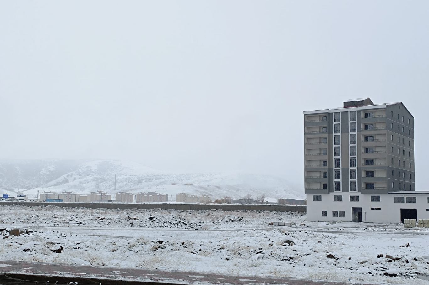 D0295722 98Fd 42Ee Afed D7B28512174E