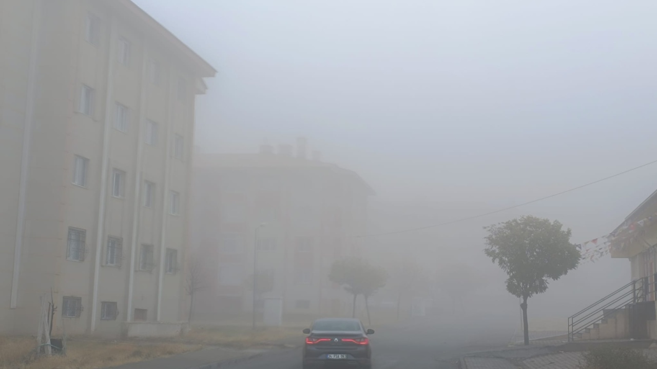 E62Ea1E7 Fa2A 443A 874D 2C31Dbd9A077