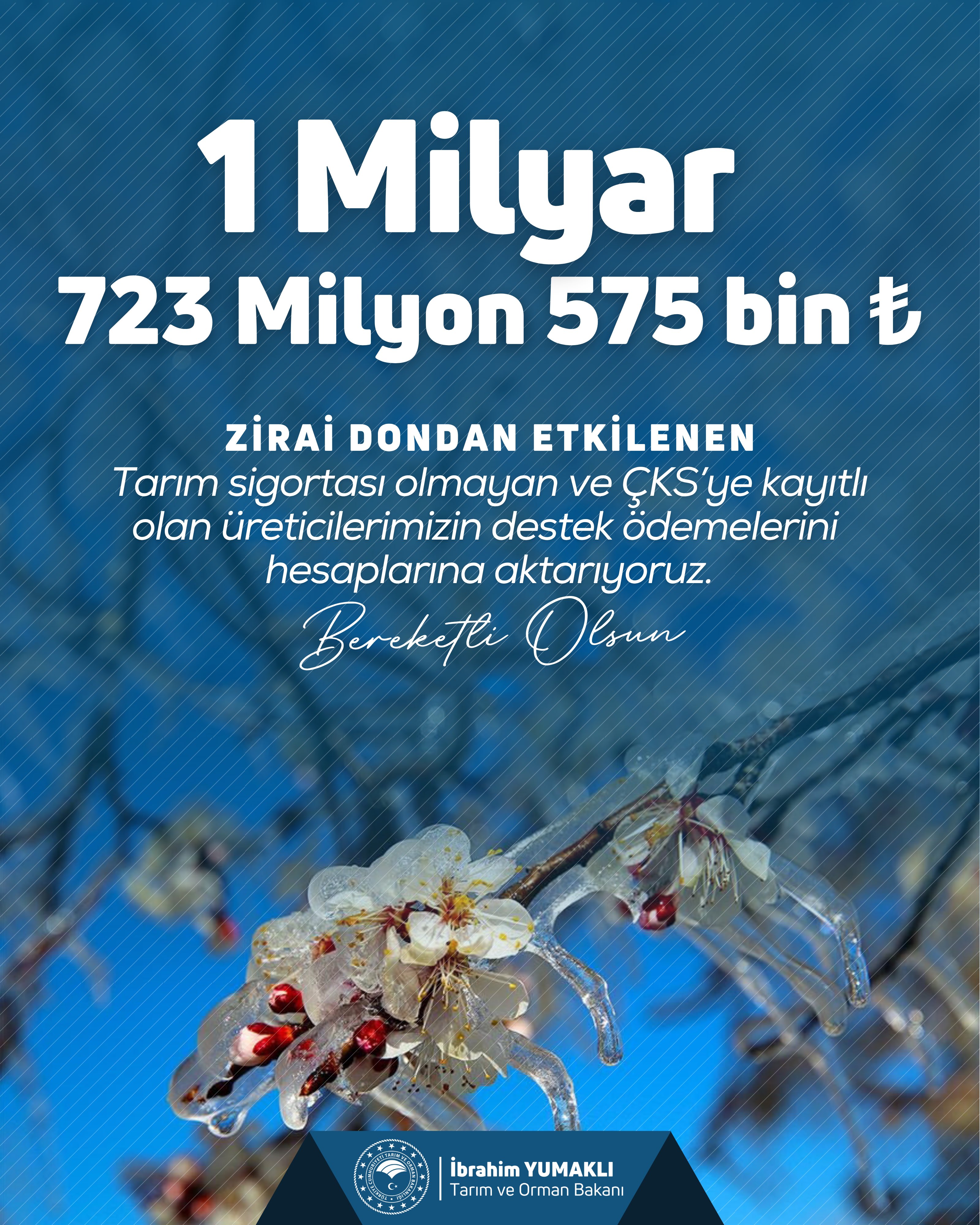 G46 Z5 Zo W M A Mw64P