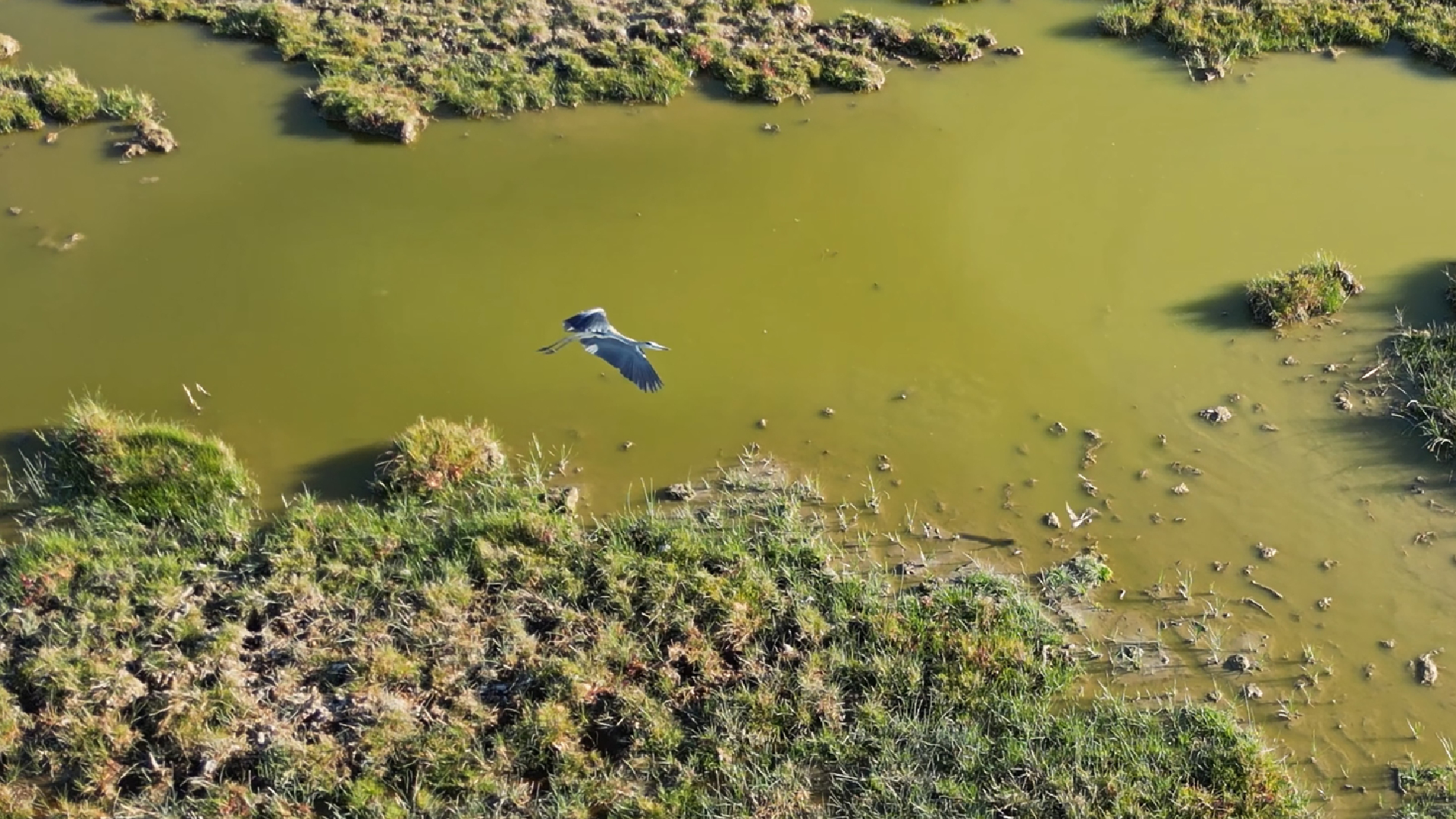 Haber Kapak Şablon (12)-51