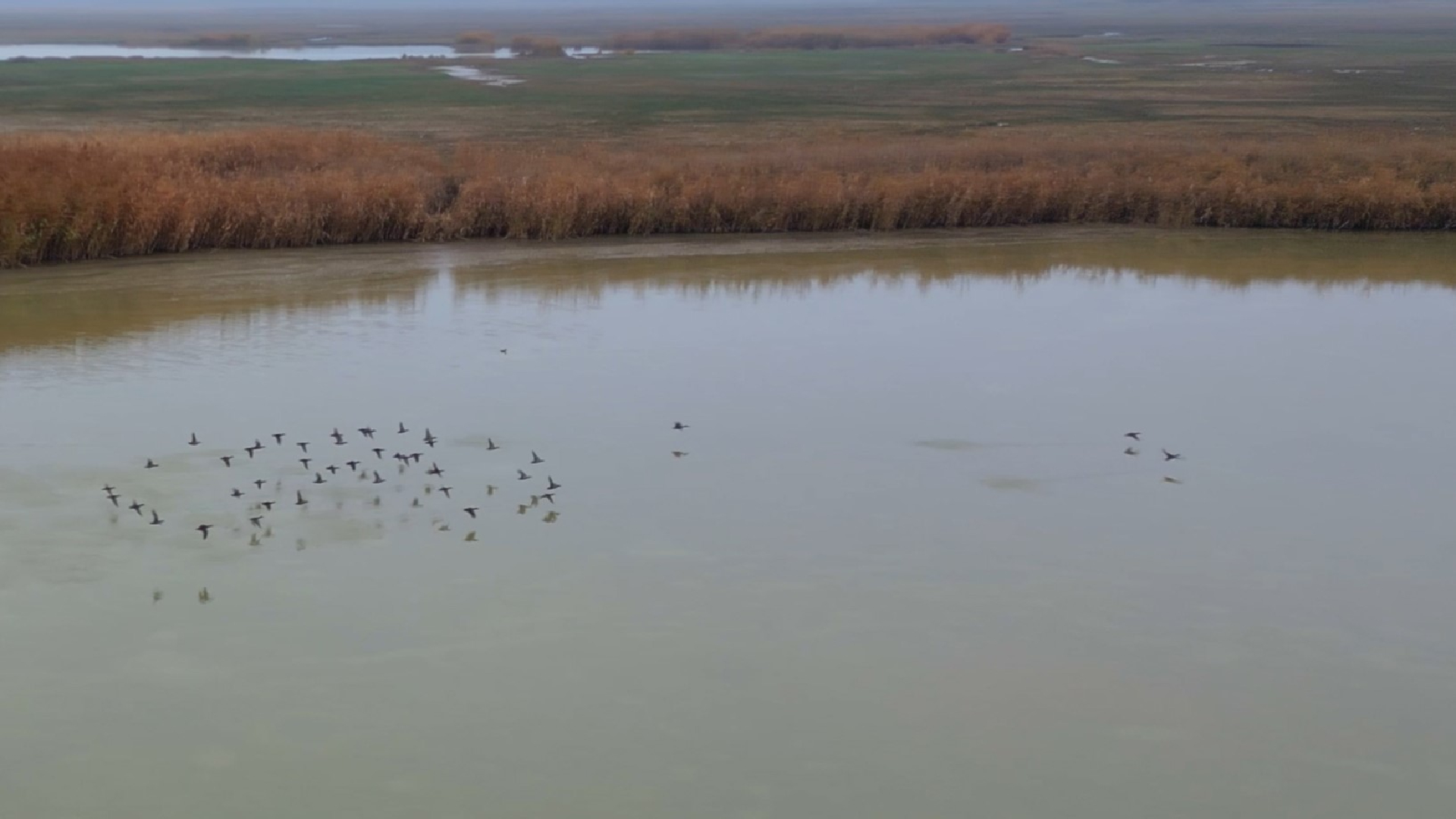 Haber Kapak Şablon (13)-50