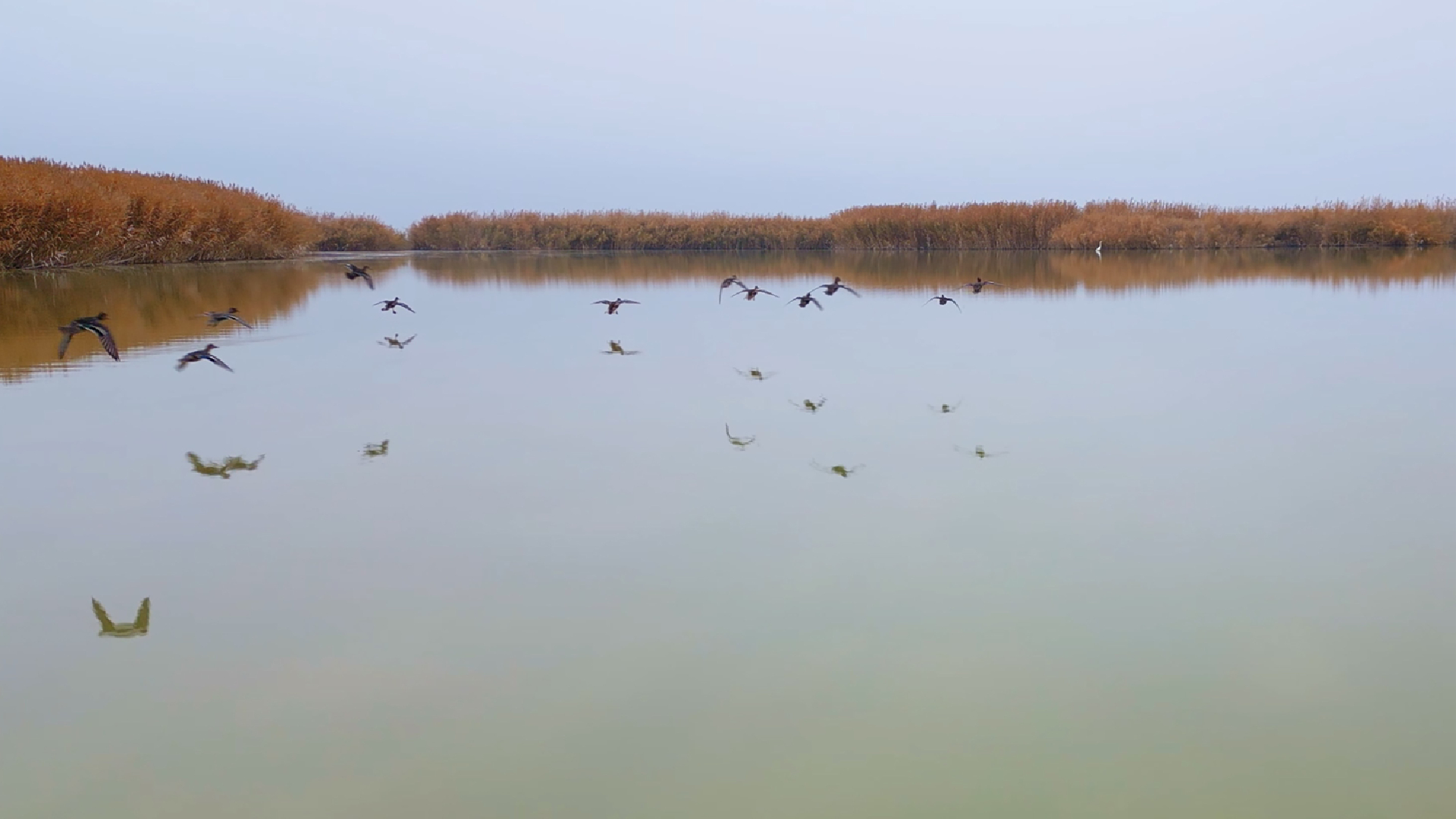 Haber Kapak Şablon (15)-46