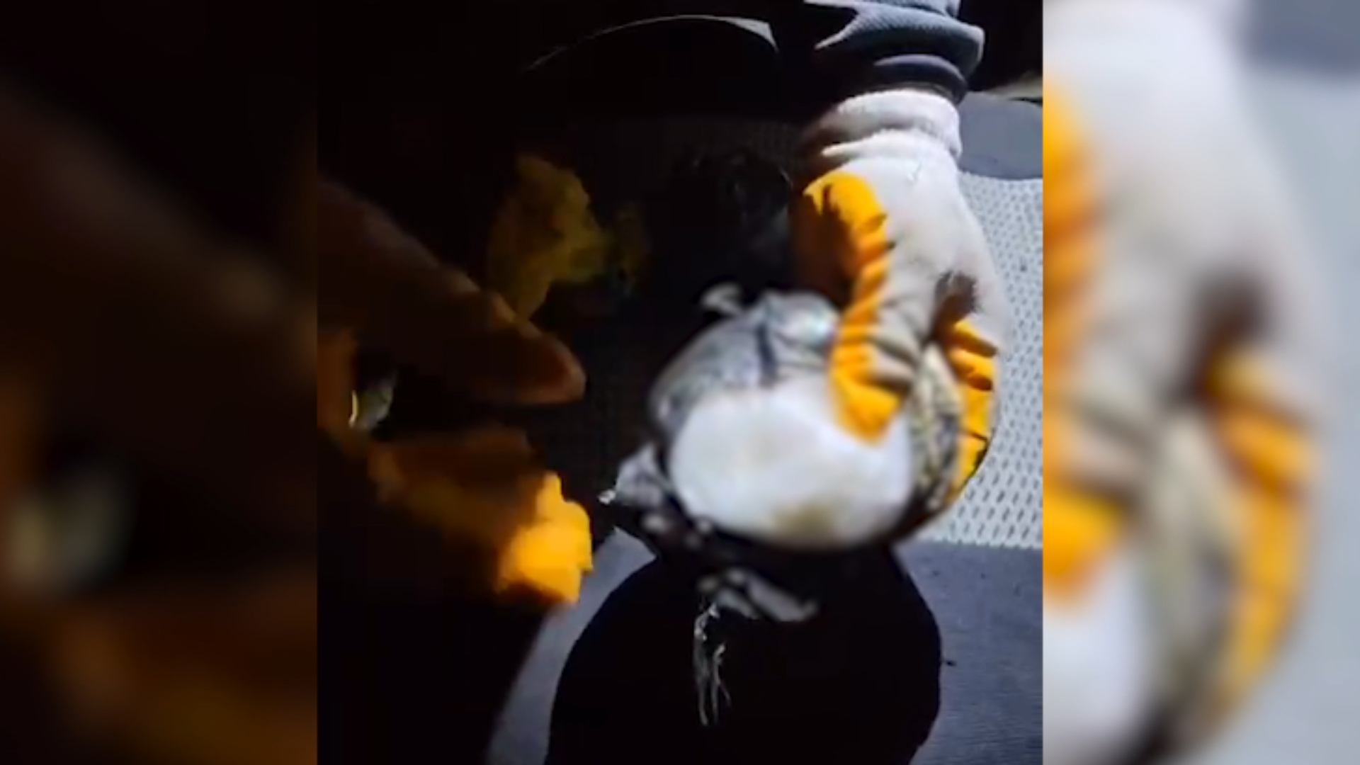 Haber Kapak Şablon (19)-40