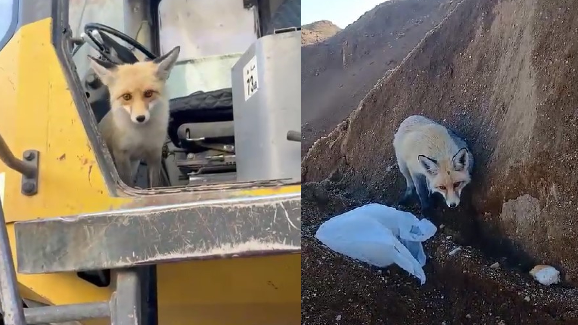 Haber Kapak Şablon (3)-66