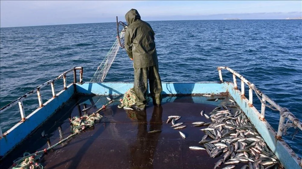 Nz J B Doc Oukm Su6 Z Jt5 R V8W