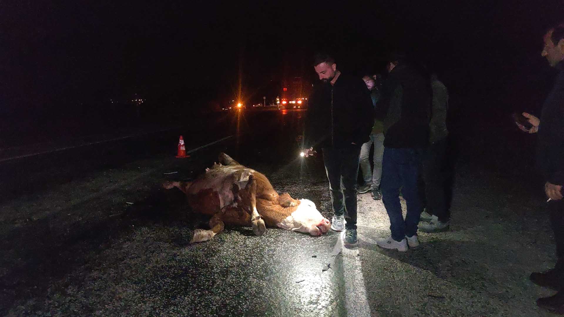 Van Bitlis Yolunda İneğe Çarpan Minibüs Ve Otomobil Kaza Yaptı 2