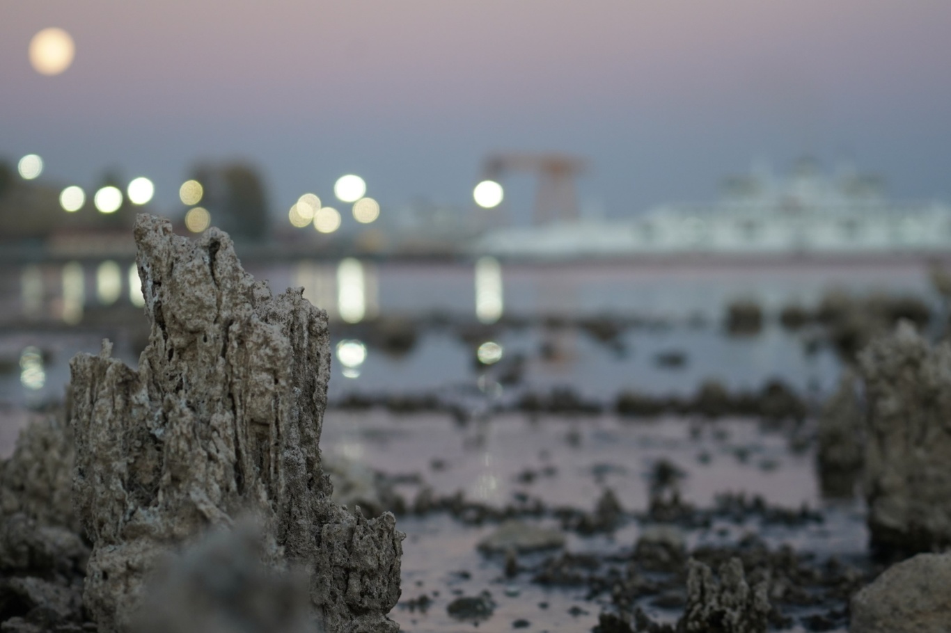 36D1D4Ce F28A 4668 94A6 2370B79E6A0E