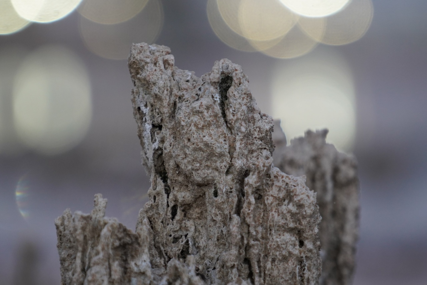 9Fd62397 4Fa2 4508 B8Ef 7B4256B04D03