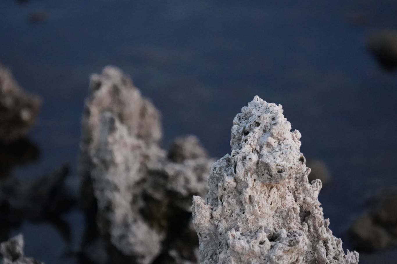 Aedbad7F 03B3 4329 B28F 1Dde0F6Df377